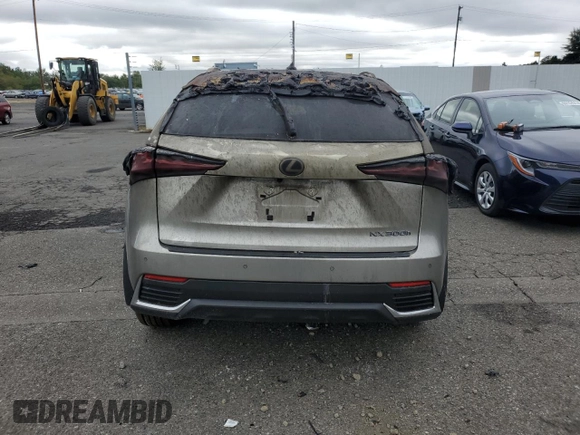 2020 Lexus NX with VIN JTJHJRDZ8L2132118, listed as a Copart auction lot 70226054 with Not provided miles and Salvage title. Bid and sale history available at DreamBid. Image 6.