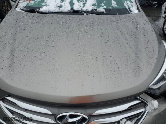2017 Hyundai Santa Fe Sport Luxury with VIN 5XYZUDLB8HG413399, listed as a Copart auction lot 44350075 with 0 mi miles and Salvage Title. Bid and sale history available at carsss.com. Image 12.