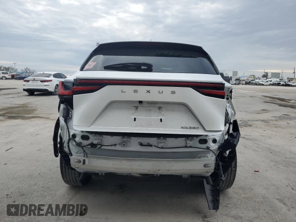 2024 Lexus NX 250 Premium with VIN 2T2GDCAZ3RC006908, listed as a Copart auction lot 88159635 with 20,109 mi miles and Salvage title. Bid and sale history available at DreamBid. Image 6.
