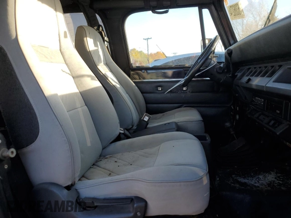 1993 Jeep Wrangler with VIN 1J4FY29S1PP235666, listed as a Copart auction lot 76386274 with 0 mi miles and Non Repairable. Bid and sale history available at carsss.com. Image 10.