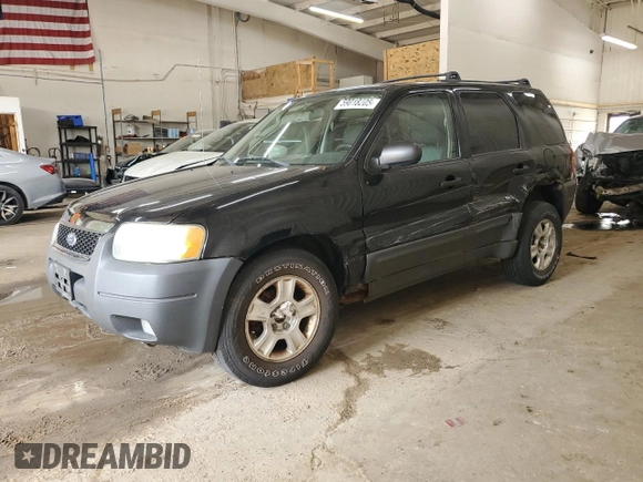 2003 Ford Escape XLT Popular 2 with VIN 1FMYU93193KB87078, listed as a Copart auction lot 59018205 with 222,082 mi miles and Salvage title. Bid and sale history available at DreamBid. Image 1.