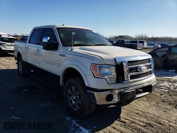 2009 Ford F-150 XL with VIN 1FTPW14V39FA06362, listed as a Copart auction lot 46325135 with 140,901 mi miles and Salvage Title. Bid and sale history available at carsss.com. Image 11.