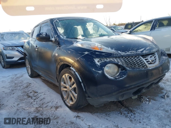 2013 Nissan Juke S with VIN JN8AF5MR8DT209858, listed as a IAAI auction lot 41341442 with 125,367 mi miles. Bid and sale history available at carsss.com. Image 1.