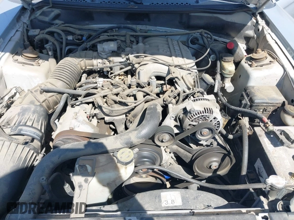 1998 Ford Mustang with VIN 1FAFP4444WF188494, listed as a IAAI auction lot 42158252 with 127,702 mi miles and . Bid and sale history available at DreamBid. Image 10.