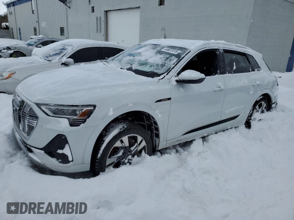 2022 Audi e-tron Premium with VIN WA1AAAGE6NB042543, listed as a Copart auction lot 44607415 with 143,781 mi miles and Salvage Title. Bid and sale history available at carsss.com. Image 1.