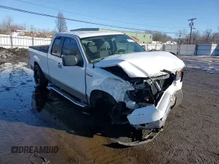 2006 Ford F-150 XLT with VIN 1FTPX145X6NB15870, listed as a Copart auction lot 45870145 with 218,990 mi miles and Salvage Title. Bid and sale history available at carsss.com. Image 10.