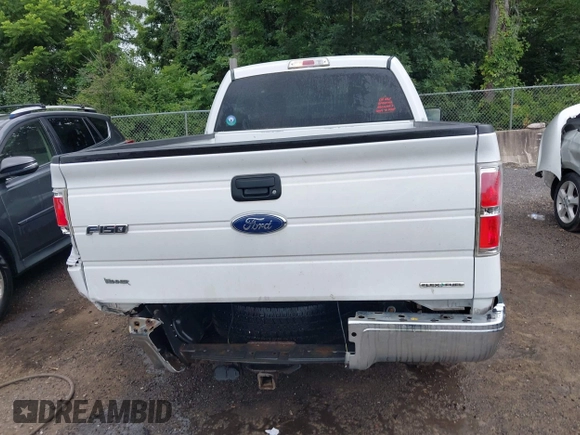 2013 Ford F-150 XL with VIN 1FTMF1CM5DFD74210, listed as a IAAI auction lot 42649783 with 145,316 mi miles and . Bid and sale history available at DreamBid. Image 16.