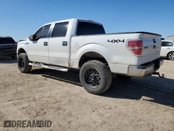 2012 Ford F-150 XL with VIN 1FTFW1EF0CKD05681, listed as a Copart auction lot 46506225 with 171,477 mi miles and Salvage Title. Bid and sale history available at carsss.com. Image 2.