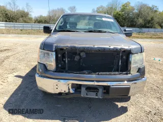 2010 Ford F-150 XL with VIN 1FTEX1CW4AFD39298, listed as a Copart auction lot 49581095 with 190,791 mi miles and Salvage Title. Bid and sale history available at carsss.com. Image 5.