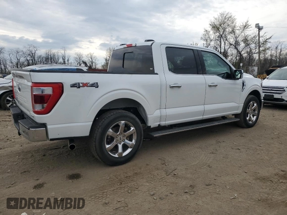 2023 Ford F-150 XL with VIN 1FTEW1EP0PFB56918, listed as a Copart auction lot 50770955 with 53,495 mi miles and Non Repairable. Bid and sale history available at carsss.com. Image 3.