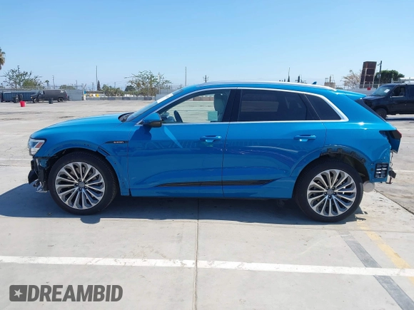 2019 Audi e-tron Prestige with VIN WA1VABGE1KB020498, listed as a IAAI auction lot 42663242 with 46,258 mi miles and . Bid and sale history available at DreamBid. Image 15.