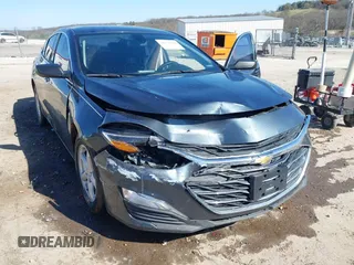 2019 Chevrolet Malibu LS with VIN 1G1ZB5ST1KF142016, listed as a IAAI auction lot 41770598 with 117,175 mi miles and . Bid and sale history available at DreamBid. Image 6.