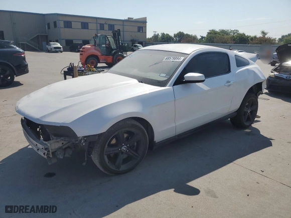 2010 Ford Mustang GT with VIN 1ZVBP8CH6A5171034, listed as a Copart auction lot 48903525 with 0 mi miles and Salvage Title. Bid and sale history available at carsss.com. Image 1.