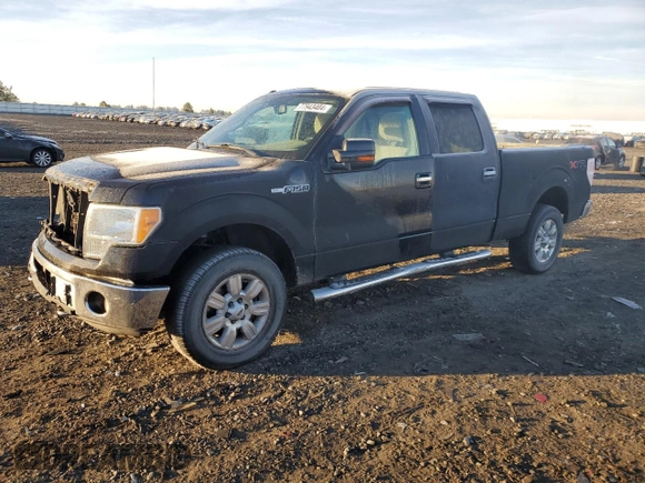 2010 Ford F-150 XL with VIN 1FTFW1EV9AFD21293, listed as a Copart auction lot 77943404 with 123,165 mi miles and Salvage title. Bid and sale history available at DreamBid. Image 1.