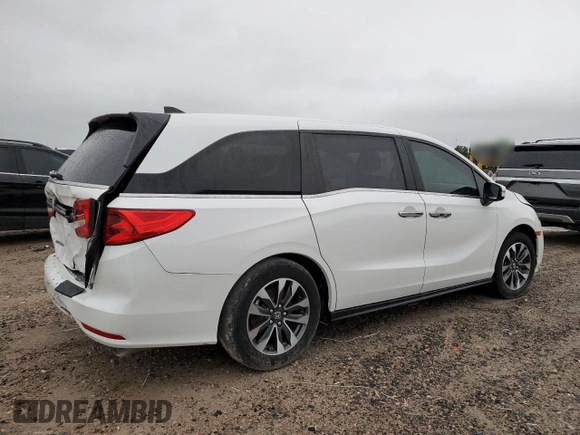 2024 Honda Odyssey EX-L with VIN 5FNRL6H66RB069509, listed as a Copart auction lot 56155715 with 3,341 mi miles and Salvage Title. Bid and sale history available at DreamBid. Image 3.