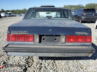 1989 Chevrolet Celebrity z VIN 1G1AW51W8K6185894, wystawiony jako Copart lot #75610854 z przebiegiem 111 268 mil mil oraz Tytuł czysty. Historia ofert i sprzedaży dostępna na DreamBid. Obrazek 6.