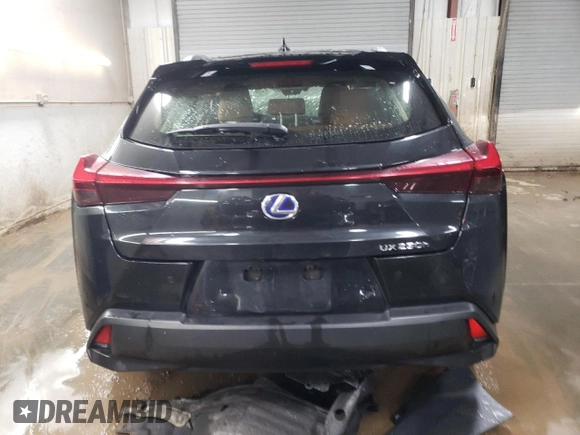 2019 Lexus UX 250h with VIN JTHU9JBH9K2009009, listed as a Copart auction lot 42381095 with Not provided miles and Salvage title. Bid and sale history available at DreamBid. Image 6.