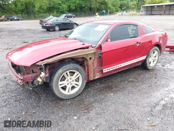 2012 Ford Mustang Premium with VIN 1ZVBP8AM6C5260105, listed as a IAAI auction lot 42244372 with 227,704 mi miles and . Bid and sale history available at DreamBid. Image 19.