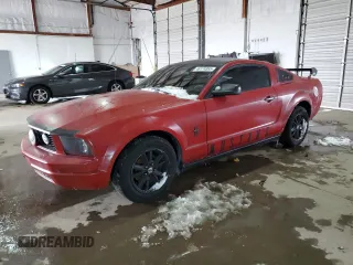 2005 Ford Mustang Deluxe with VIN 1ZVFT80N355117753, listed as a Copart auction lot 57175265 with Not provided miles and Non repairable. Bid and sale history available at DreamBid. Image 1.