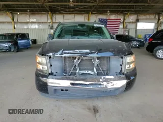 2009 Chevrolet Silverado 1500 Work Truck with VIN 1GCEC14X69Z159141, listed as a Copart auction lot 51869115 with 232,836 mi miles and Salvage Title. Bid and sale history available at DreamBid. Image 10.