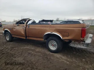 1994 Ford F-150 with VIN 2FTEF15N4RCA56009, listed as a Copart auction lot 45387595 with 0 mi miles and Salvage Title. Bid and sale history available at carsss.com. Image 2.