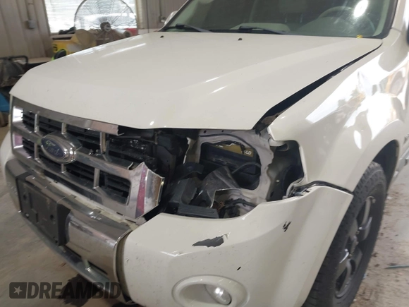 2009 Ford Escape Hybrid z VIN 1FMCU59329KB01081, wystawiony jako IAAI lot #42557114 z przebiegiem 206 972 mil mil oraz . Historia ofert i sprzedaży dostępna na DreamBid. Obrazek 6.