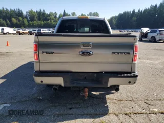 2009 Ford F-150 XL with VIN 1FTPW14V69FA48640, listed as a Copart auction lot 65913475 with 134,839 mi miles and Salvage title. Bid and sale history available at DreamBid. Image 6.