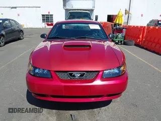 2001 Ford Mustang GT Deluxe with VIN 1FAFP42X61F110157, listed as a IAAI auction lot 42055270 with 83,692 mi miles and . Bid and sale history available at DreamBid. Image 12.