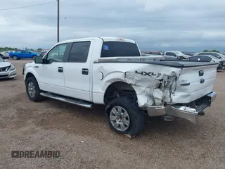 2010 Ford F-150 XL with VIN 1FTEW1E81AFD42774, listed as a IAAI auction lot 42224876 with 77,415 mi miles and . Bid and sale history available at DreamBid. Image 3.