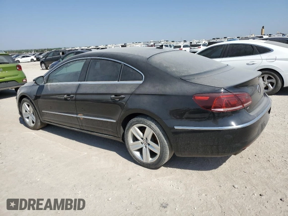 2014 Volkswagen CC Sport with VIN WVWBN7AN6EE529590, listed as a Copart auction lot 88780515 with 123,392 mi miles and Salvage Title. Bid and sale history available at DreamBid. Image 2.
