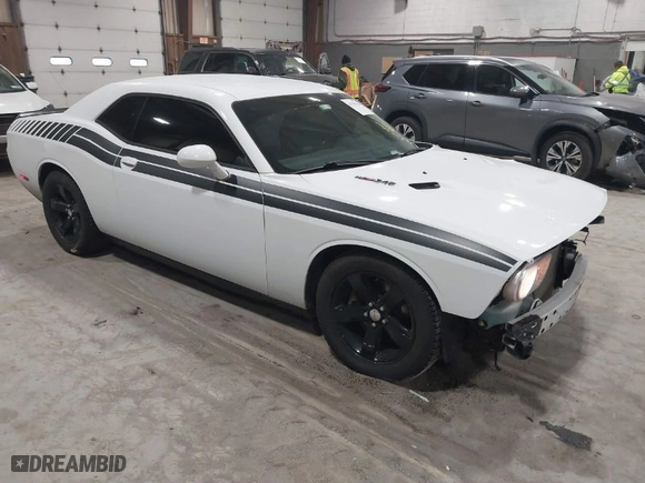 2013 Dodge Challenger R/T with VIN 2C3CDYBT7DH501528, listed as a IAAI auction lot 41790514 with 122,876 mi miles. Bid and sale history available at carsss.com. Image 1.