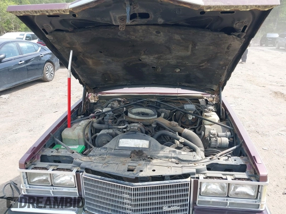 1985 Cadillac Seville z VIN 1G6KS6989FE821515, wystawiony jako IAAI lot #42009508 z przebiegiem 13 600 mil mil oraz . Historia ofert i sprzedaży dostępna na DreamBid. Obrazek 10.