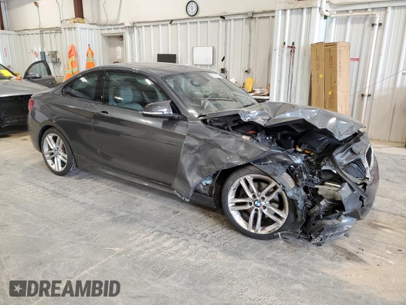 2015 BMW 2 Series 228i with VIN WBA1F5C59FV343633, listed as a Copart auction lot 60329925 with 123,644 mi miles and Non repairable. Bid and sale history available at DreamBid. Image 4.