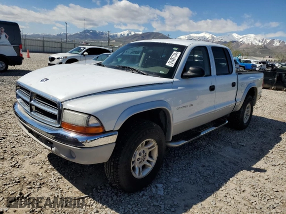 2001 Dodge Dakota Sport with VIN 1B7HG2AN81S245204, listed as a Copart auction lot 46337065 with 265,385 mi miles and Salvage Title. Bid and sale history available at carsss.com. Image 1.