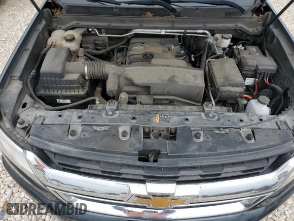 2019 Chevrolet Colorado 2WD LT with VIN 1GCGSCEA4K1309477, listed as a Copart auction lot 50463555 with 98,708 mi miles and Clean title. Bid and sale history available at DreamBid. Image 11.