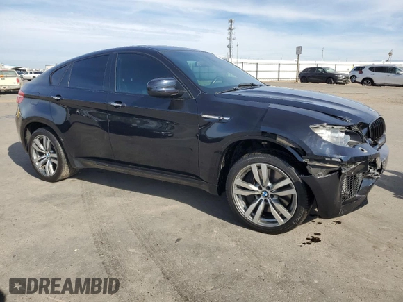 2010 BMW X6 M with VIN 5YMGZ0C50ALK13565, listed as a Copart auction lot 81646874 with 125,113 mi miles and Salvage Title. Bid and sale history available at carsss.com. Image 4.