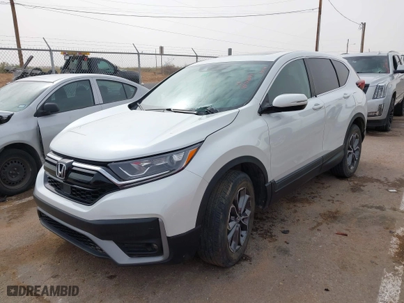 2022 Honda CR-V EX with VIN 7FARW2H50NE052730, listed as a IAAI auction lot 40717699 with 19,514 mi miles. Bid and sale history available at carsss.com. Image 18.