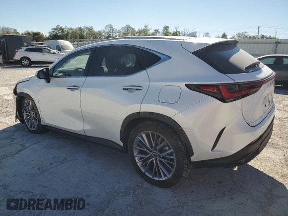 2023 Lexus NX 350h Luxury with VIN JTJHKCEZ7P2013703, listed as a Copart auction lot 74935304 with 22,069 mi miles and Salvage Title. Bid and sale history available at DreamBid. Image 2.