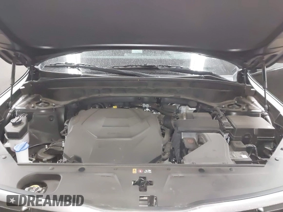 2025 Kia Telluride S with VIN 5XYP64GC9SG580656, listed as a IAAI auction lot 42000035 with 4,169 mi miles and . Bid and sale history available at DreamBid. Image 10.
