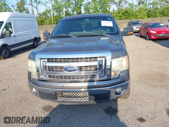 2013 Ford F-150 XL with VIN 1FTEX1CM9DFD23231, listed as a IAAI auction lot 42022012 with 220,971 mi miles. Bid and sale history available at carsss.com. Image 12.