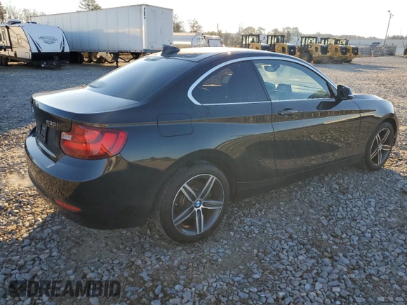 2017 BMW 2 Series 230i with VIN WBA2F9C30H7A40308, listed as a Copart auction lot 41564795 with 53,403 mi miles and Salvage title. Bid and sale history available at DreamBid. Image 3.