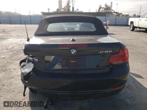 2019 BMW 2 Series 230i with VIN WBA2M7C59K7D34454, listed as a Copart auction lot 68233543 with 21,923 mi miles. Bid and sale history available at carsss.com. Image 6.