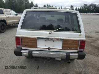 1990 Jeep Grand Wagoneer z VIN 1J4FN78L0LL282169, wystawiony jako Copart lot #59809545 z przebiegiem 194 382 mil mil oraz Czysty tytuł • Clean title. Historia ofert i sprzedaży dostępna na DreamBid. Obrazek 6.