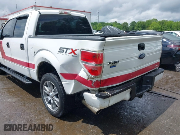 2014 Ford F-150 XL with VIN 1FTFW1EF9EFC63944, listed as a IAAI auction lot 42214453 with 252,127 mi miles and . Bid and sale history available at DreamBid. Image 6.