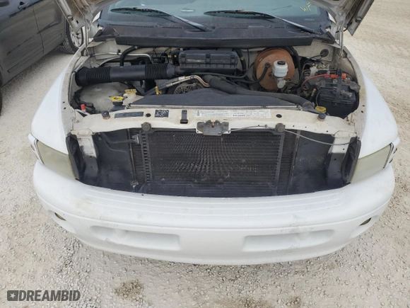 2000 Dodge Ram 1500 with VIN 3B7HF13Z5YG161646, listed as a Copart auction lot 76893684 with 0 mi miles and Salvage Title. Bid and sale history available at carsss.com. Image 11.