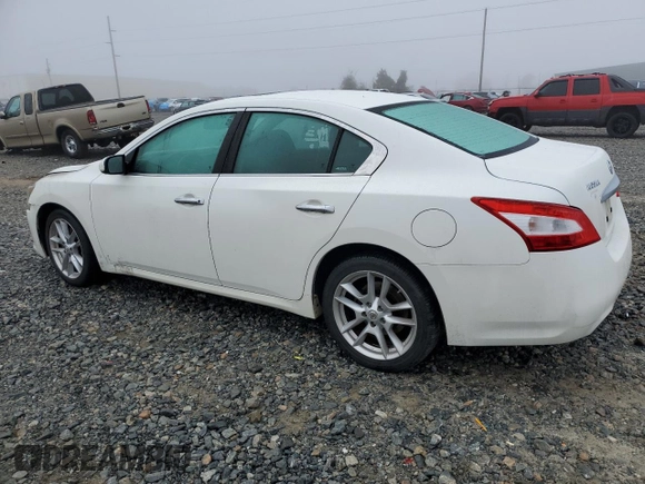 2011 Nissan Maxima SV with VIN 1N4AA5AP6BC836980, listed as a Copart auction lot 52584935 with Not provided miles and Non repairable. Bid and sale history available at DreamBid. Image 2.
