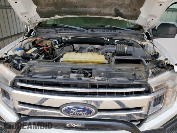 2019 Ford F-150 XL with VIN 1FTFW1E54KKE16420, listed as a Copart auction lot 62522515 with 141,177 mi miles and Clean title. Bid and sale history available at DreamBid. Image 11.