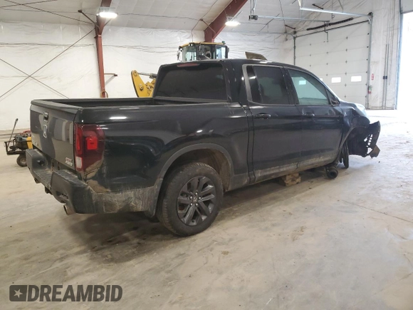 2023 Honda Ridgeline Sport with VIN 5FPYK3F10PB038832, listed as a Copart auction lot 53996035 with 20,650 mi miles and Salvage title. Bid and sale history available at DreamBid. Image 3.