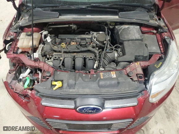 2014 Ford Focus SE with VIN 1FADP3K28EL281005, listed as a Copart auction lot 49318885 with 137,403 mi miles and Salvage Title. Bid and sale history available at carsss.com. Image 11.