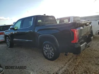 2024 Toyota Tundra 1794 Edition with VIN 5TFMC5DB8RX054569, listed as a Copart auction lot 79186024 with Not provided miles and Non repairable. Bid and sale history available at DreamBid. Image 2.